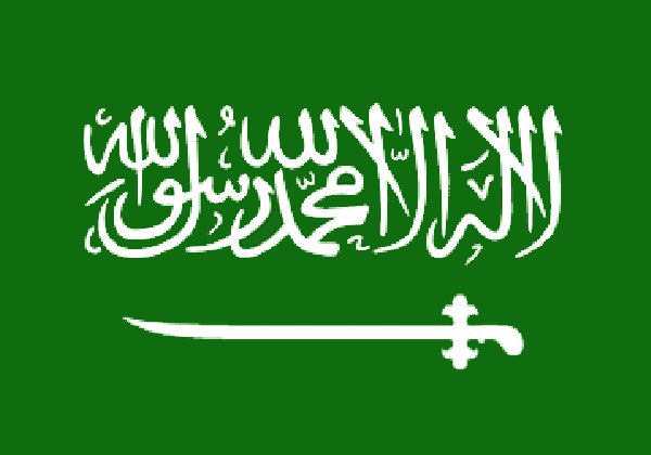 السعودية تعتبر فلسطين قضيتها الأساسية في أي مؤتمر