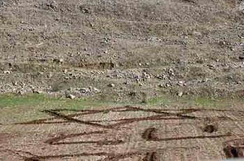 المستوطنون يصعدون انتهاكاتهم في الضفة