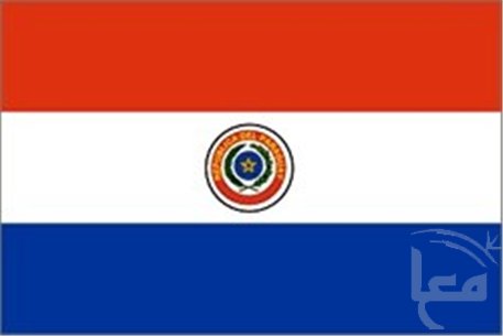 الرئيس يرحب باعتراف الباراغواي بدولة فلسطين