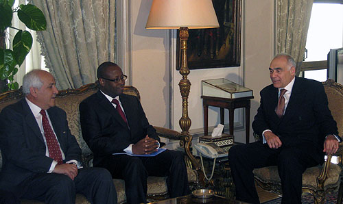 وزير الخارجية المصرية يبحث مع وفد دولي سبل دعم القضية الفلسطينية