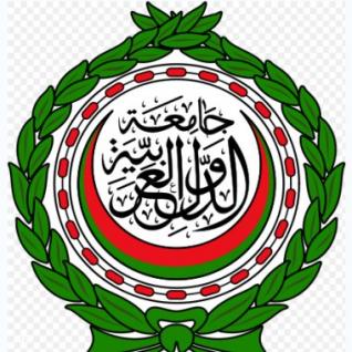 الجامعة العربية تثمن إعلان مرسي مواصلة الجهود الداعمة لشعبنا