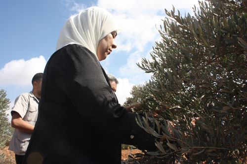 غنام: إرادة شعبنا أقوى من اعتداءات المستوطنين وبربريتهم