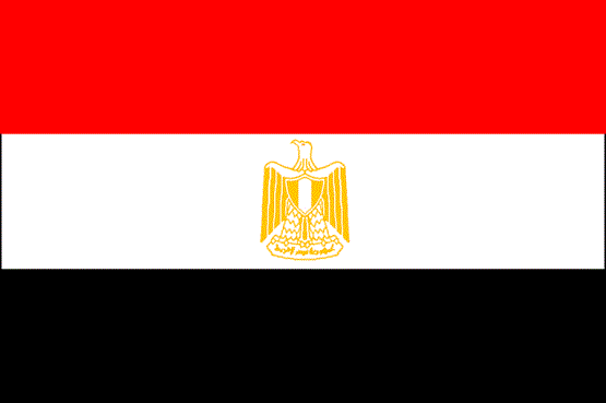 مصر تدعو فرنسا وإسبانيا وايطاليا إلى دعم التحرك الفلسطيني بالأمم المتحدة