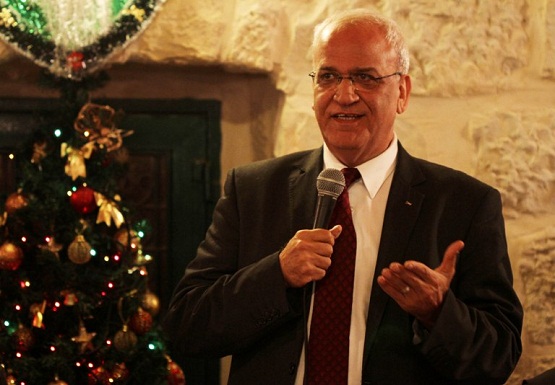 عريقات: يجب محاسبة إسرائيل والكف عن معاملتها فوق القانون