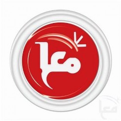 وكالة معا اول مؤسسة خاصة تستخدم ترويسة دولة فلسطين في معاملاتها الرسمية