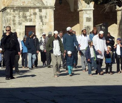 المتطرفون اليهود يجددون اقتحامهم لباحات 