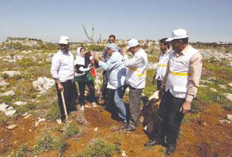 زراعة ألف شتلة بأراضي عرابة المهددة بالمصادرة خلال تظاهرة لإحياء يوم الأرض