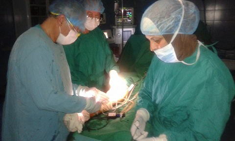 اصدقاء المريض الفلسطيني في الهمشري