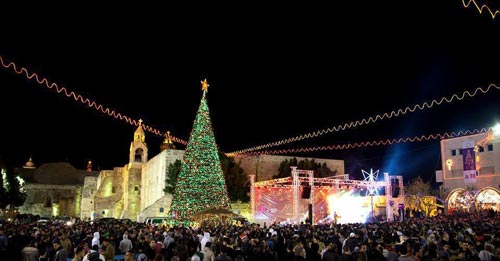 شجرة الميلاد في بيت لحم على قائمة أجمل الأشجار في العالم