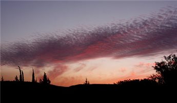 الارصاد: ارتفاع اليوم وانخفاض الاربعاء والخميس