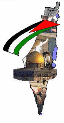 عبد الغني: ماراثون فلسطين الدولي يحمل رسائل مهمة للعالم