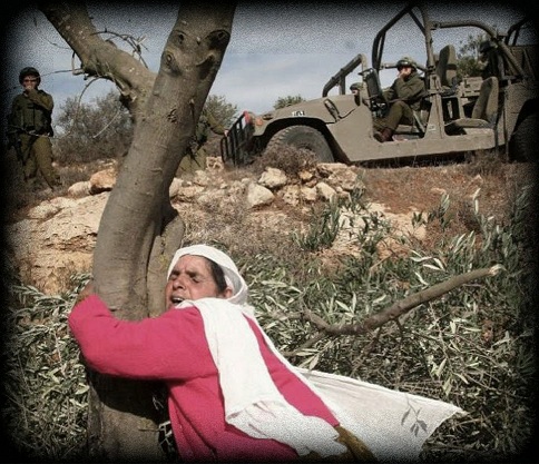 اضراب ومسيرات في أراضي 48 في ذكرى يوم الأرض