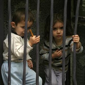 "هيئة الأسرى": شهادات لقاصرين تعرضا للتنكيل خلال اعتقالهما