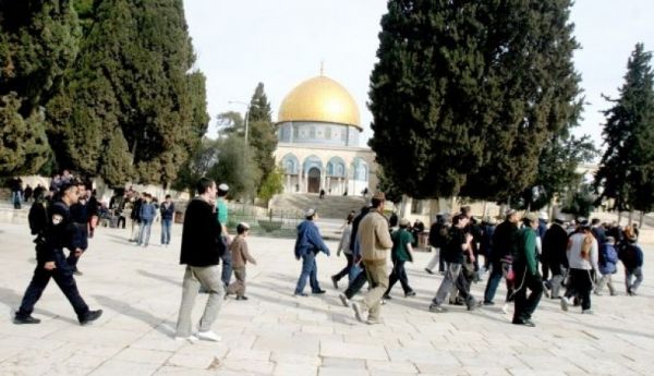 مستوطنون يقتحمون الأقصى وسط إجراءات مشددة