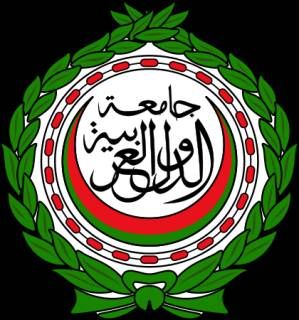 الجامعة العربية تبلغ النرويج بالموقف العربي لإحياء عملية السلام بالمنطقة