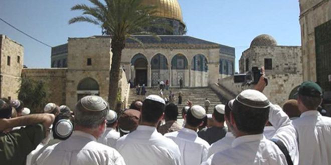 المستوطنون يجددون اقتحاماتهم للأقصى