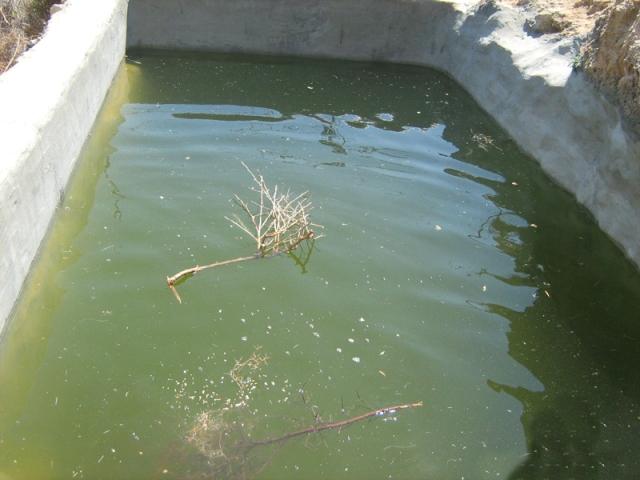 مصرع طفل غرقاً في بركة مياه وسط قطاع غزة