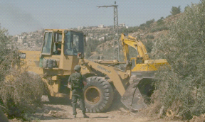 الاحتلال يعدم 250 شجرة زيتون في سلفيت ويُخطر بهدم منزل في حوارة