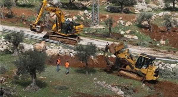 الاحتلال يقتلع أشجار زيتون ويسرقها في قرية شوفة جنوب طولكرم