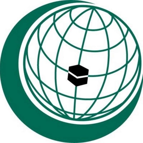 "التعاون الإسلامي" تدين العدوان الإسرائيلي على قطاع غزة