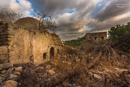 "حارس الذاكرة"
