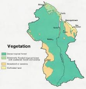 الرئيس يهنئ رئيس غوايانا لمناسبة الاحتفال بعيد الجمهورية