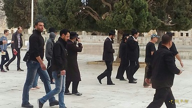 مستوطنون وعناصر مخابرات ومستخدمو آثار يقتحمون المسجد الأقصى