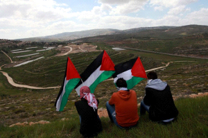 الاستيلاء بذريعة " التصرف"