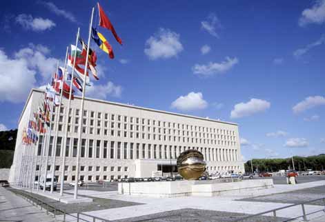 الخارجية الايطالية: مبدأ حل الدولتين يلبي تطلعات الشعب الفلسطيني