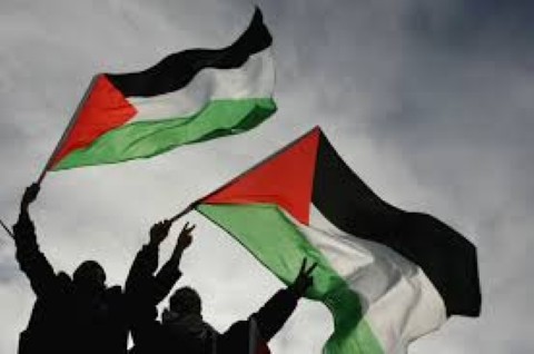 فلسطين تدعو الأمم المتحدة إلى تعزيز التعاون الدولي لمواجهة الجريمة بكافة اشكالها