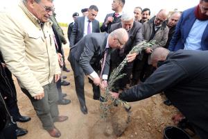 الحمد الله: نحتفل بيوم الشجرة متجذرون بأرضنا وهويتنا