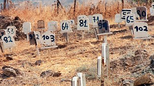 إسرائيل تحتجز 260 شهيدا في مقابر الأرقام و19 شهيدا في ثلاجاتها