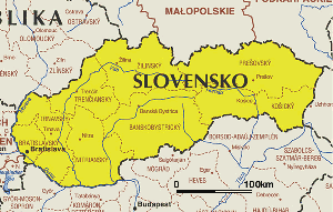 سلوفاكيا تؤكد ثبات موقفها الداعم للقضية الفلسطينية وحل الدولتين