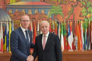 المالكي يلتقي نظيره الإيرلندي ويبحث معه آخر التطورات على الساحة الفلسطينية