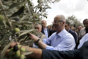 الحمد الله: منفتحون على تعديل "الضمان" ونهدف لحفظ حقوق أكثر من 70% لا يتقاضون نهاية خدمة