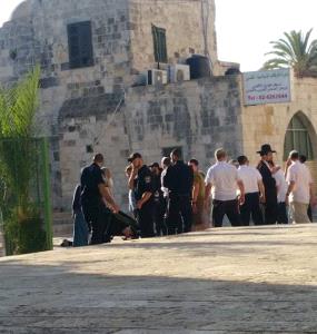 قوات الاحتلال تستولي بالقوة على منزل جنوب "الأقصى" وتسلمه للمستوطنين