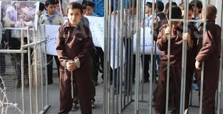 الاحتلال يعتقل طفلا (8 سنوات) من بلدة بيت أمر
