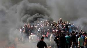 مركز الحوراني: 253 شهيدا وآلاف الجرحى منذ انطلاق المسيرات السلمية في قطاع غزة