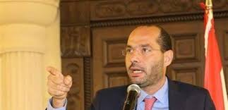 الوزير اللبناني مراد: سأكون صوت الفلسطينيين في أي منبر وسندعم كافة مطالبهم