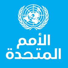 الأمم المتحدة تدعو إلى تعزيز الدعم الدولي في فلسطين