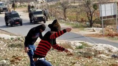 الاحتلال يصيب مواطنا بالرصاص ويعتقل 3 آخرين ويهدم منشأة في سلوان