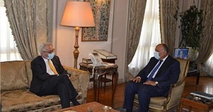 شكري يبحث مع المبعوث الأممي لعملية السلام مستجدات القضية الفلسطينية
