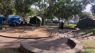 يافا.. النكبة تطل من جديد بخيام وسط المدينة