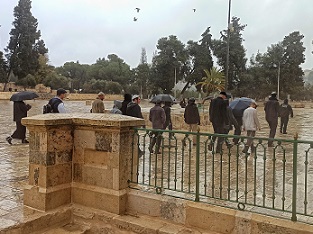 150 مستوطنا يقتحمون المسجد "الأقصى"