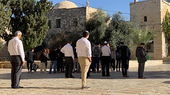 197 مستوطنا يقتحمون الأقصى