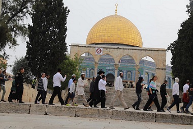 أكثر من 600 مستوطن يقتحمون الأقصى والاحتلال يعتقل ثلاثة شبان من باحاته