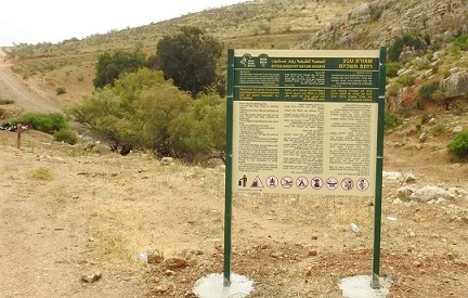 عين الحلوة.. لا سبيل إلى المراعي