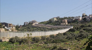 قلقيلية .. مزارعون يصارعون على جبهة "الجدار"