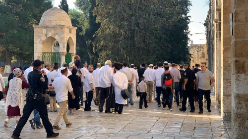 عشرات المستوطنين يقتحمون "الأقصى"