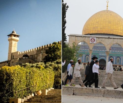 البكري: 21 اقتحاما للأقصى ومنع رفع الأذان 54 وقتا في الإبراهيمي خلال تموز